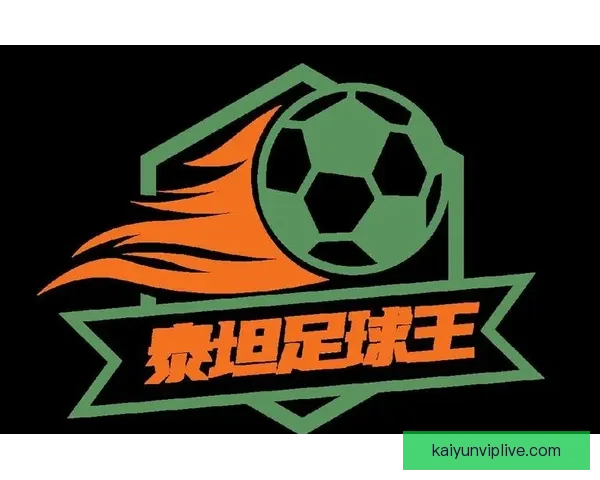 稳定可靠的世界杯竞猜平台助你轻松预测赛事结果赢取丰厚奖励